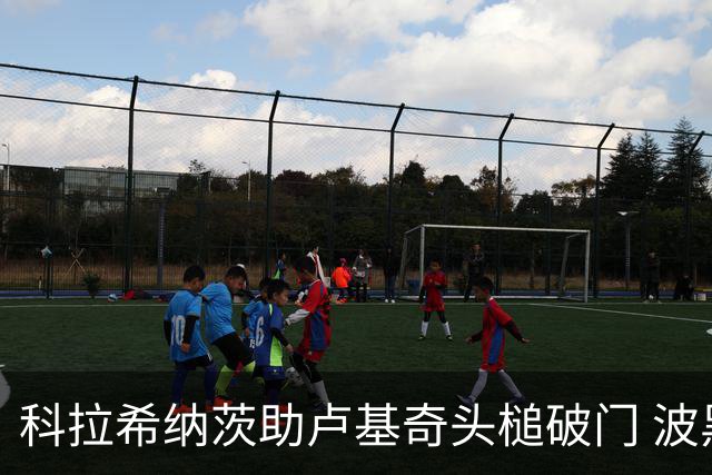 科拉希纳茨助卢基奇头槌破门 波黑半场暂1-0加拿大